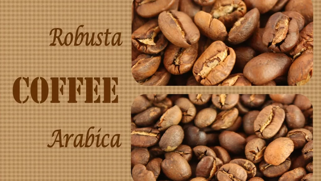 Robusta and Arabica