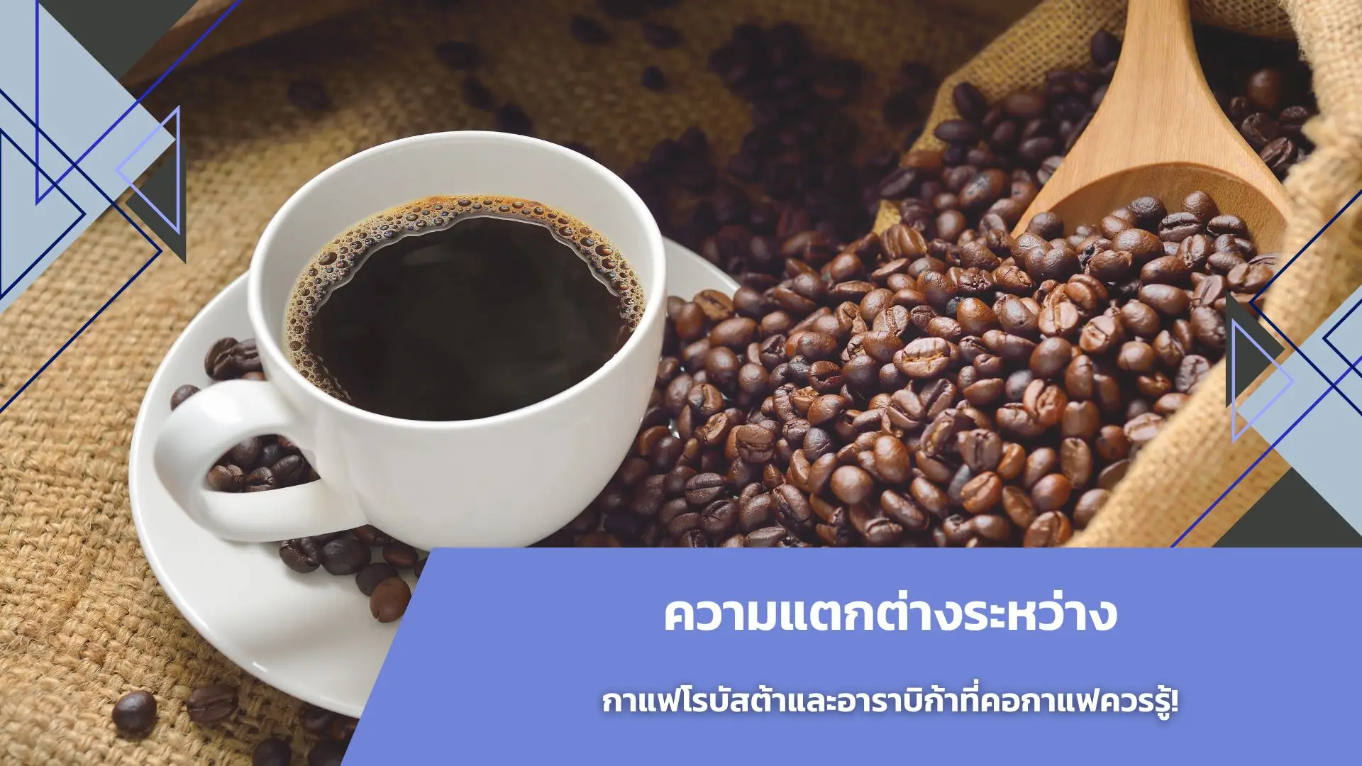 ความแตกต่างระหว่างกาแฟโรบัสต้าและอาราบิก้าที่คอกาแฟควรรู้!