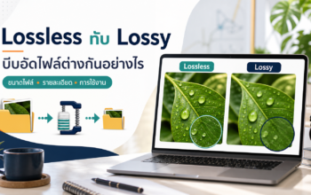 Lossless กับ Lossy เปรียบเทียบการบีบอัดไฟล์และรายละเอียดภาพ